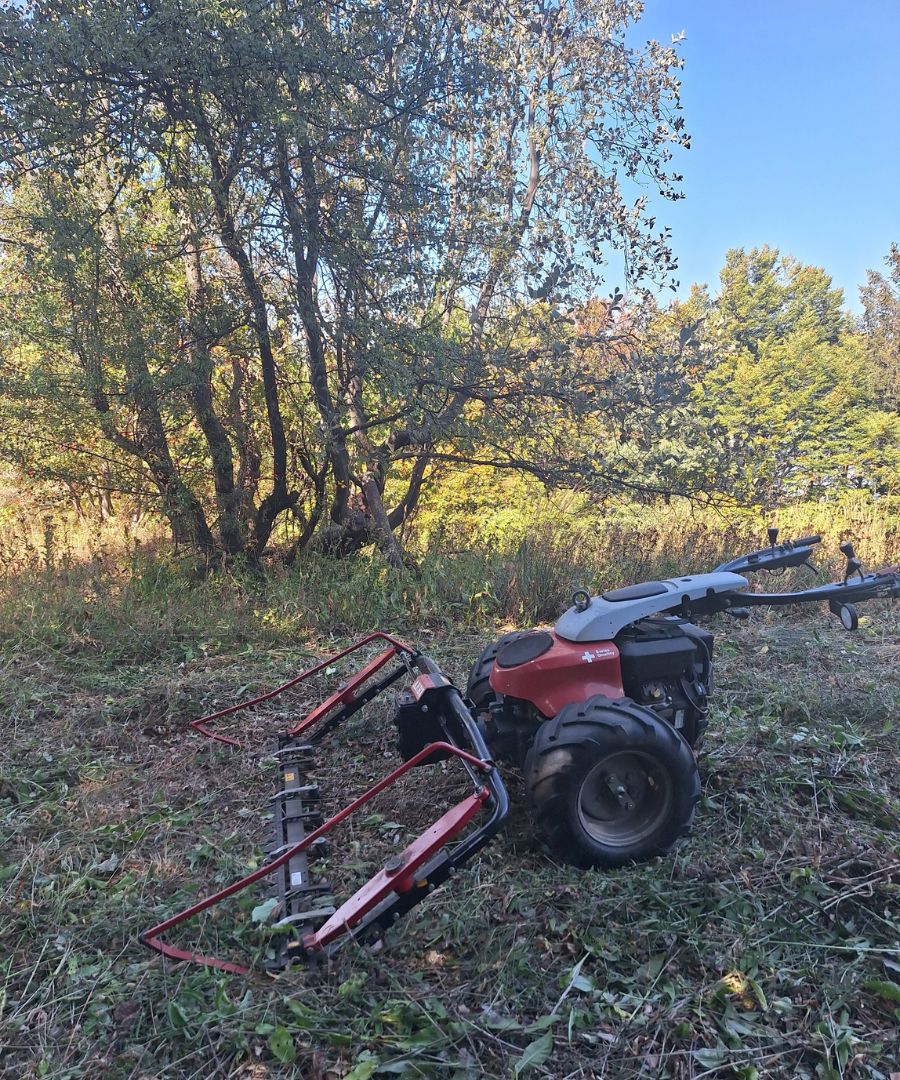 A kis méretű alternáló kaszával kíméletesen végezhető a gyepkezelés.jpg